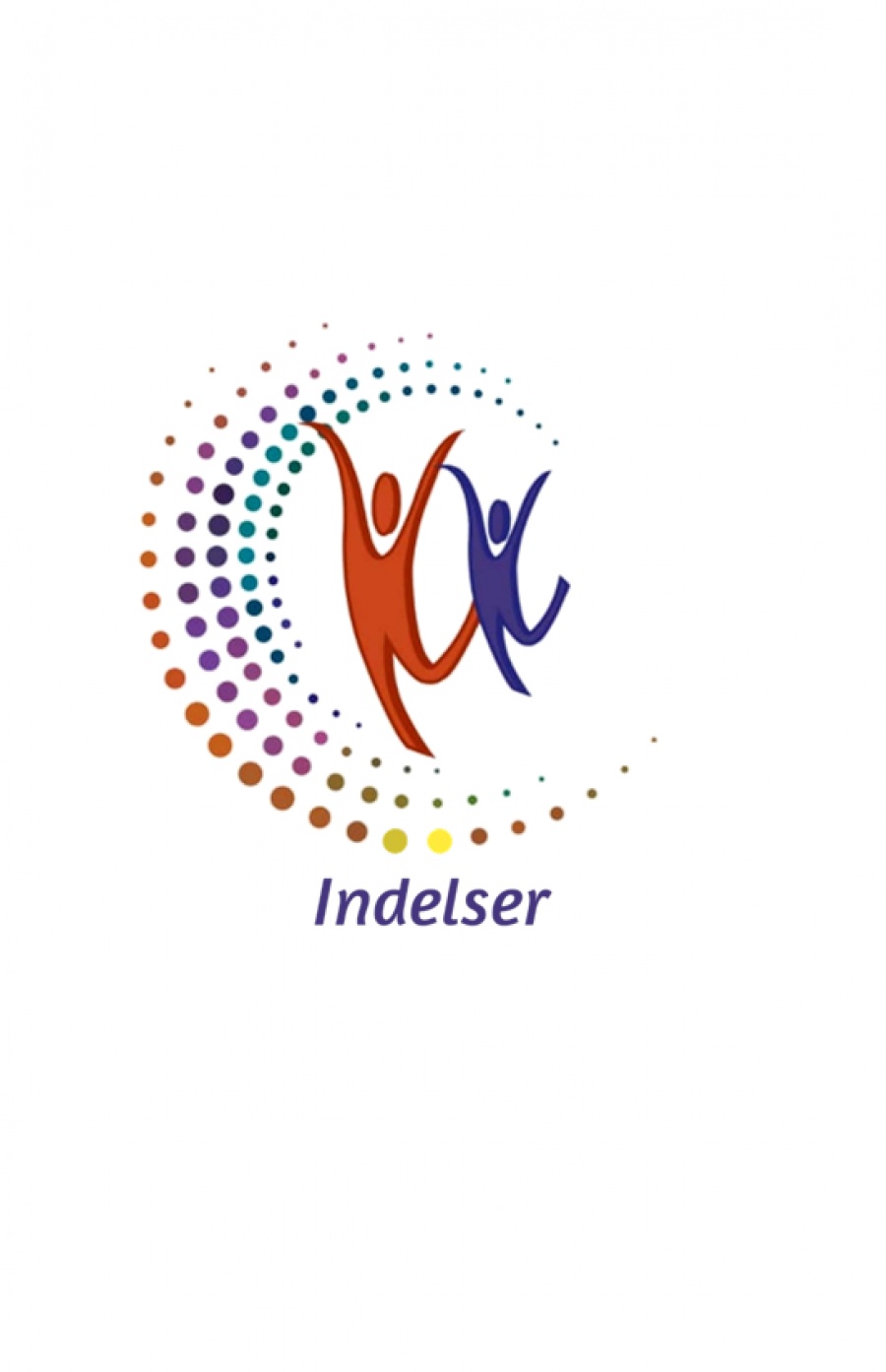 INDELSER Consultores C.A