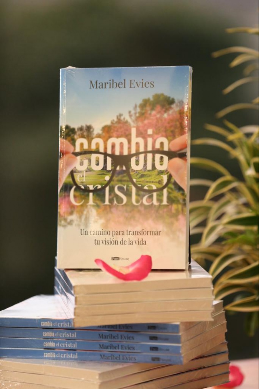 Cambia el cristal: Un camino para transformar tu visi&oacute;n de la vida