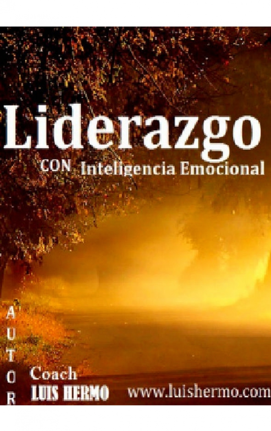 Liderazgo con Inteligencia Emocional
